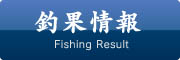 釣果情報