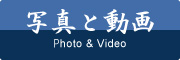 写真と動画